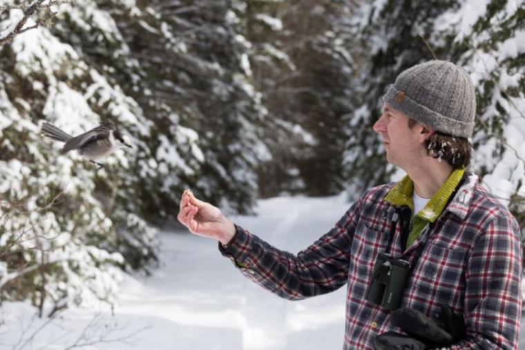 Photo of Ryan Norris feeding a grey jay