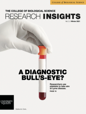 Research Insights Magazine Cover