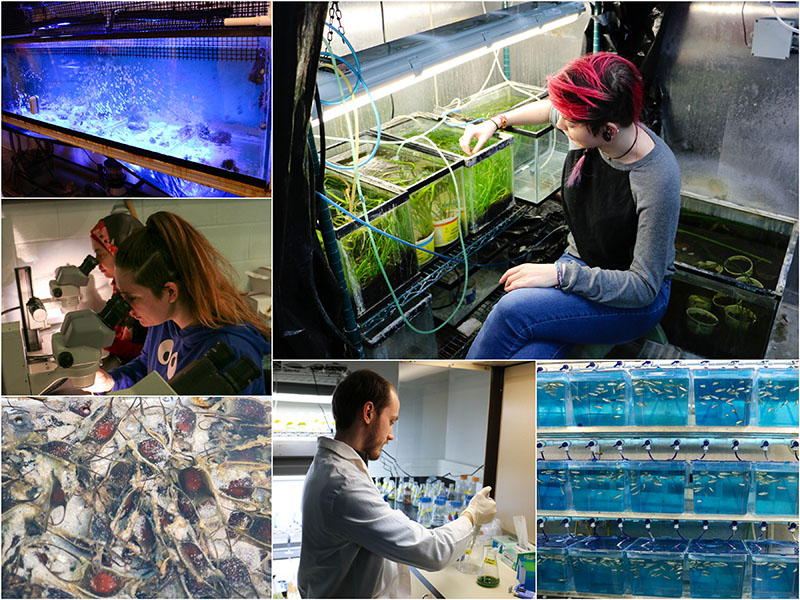 Hagen Aqualab Department of Integrative Biology