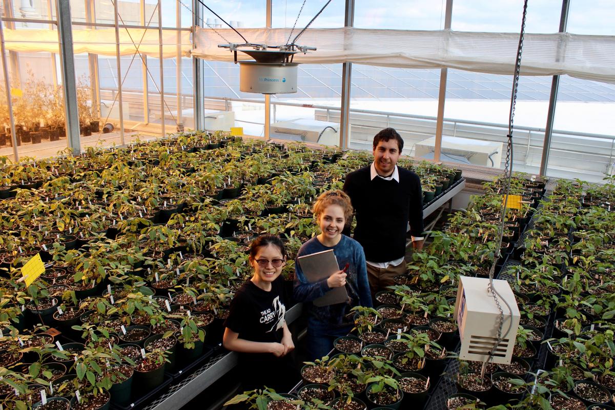 photo of students in Phytotron