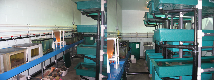 Room 154 Undergraduate Marine Teaching Lab