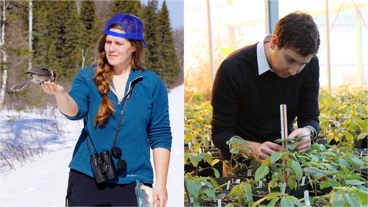 two graduate students, one with a bird and another measuring plant height