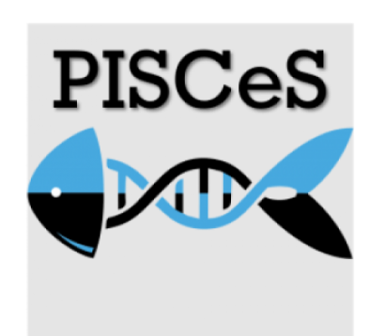 PIECeS Logo