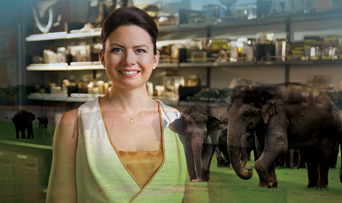 A woman with dark hair worn up, wearing a cream and dark yellow dress, smiling at the camera. Her image is overlayed by ones of a medicinal shelving unit and numerous elephants.