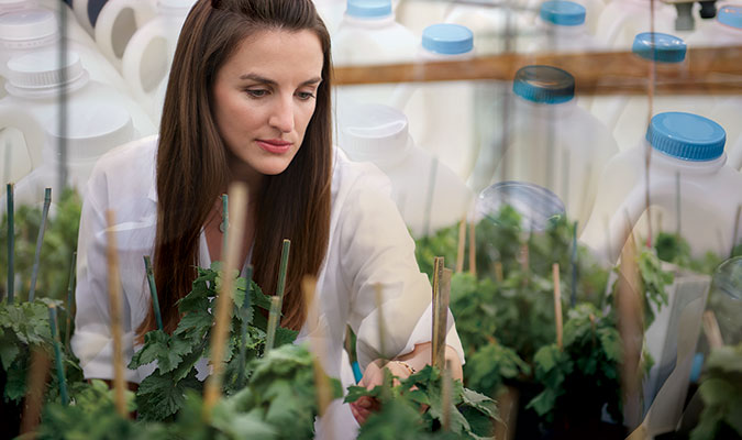 A woman with long, brown hair wearing a white lab coat tending to plants for research purposes, overlayed with test bottles also used in her research.