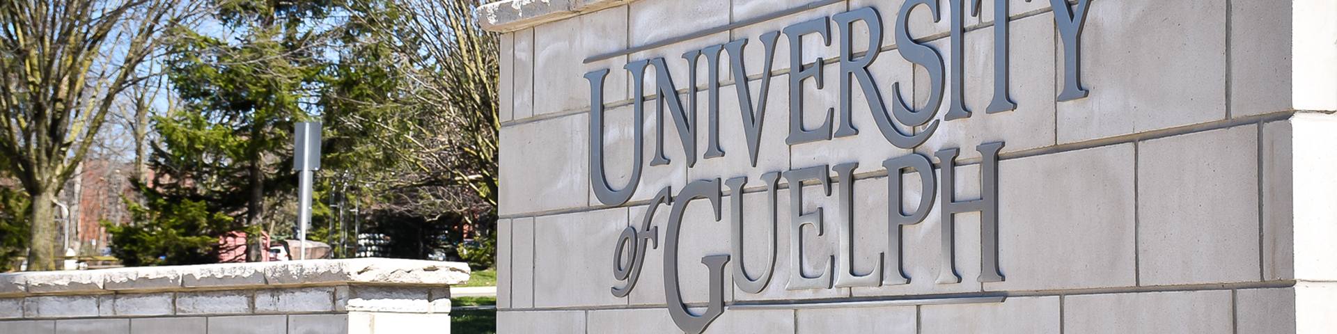 guelph uoguelph