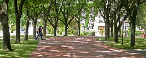 Campus Walkway