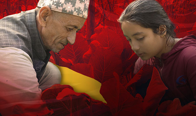 Man showing a young girl a plant