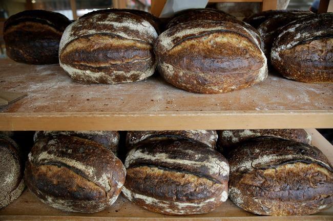 photo of bread