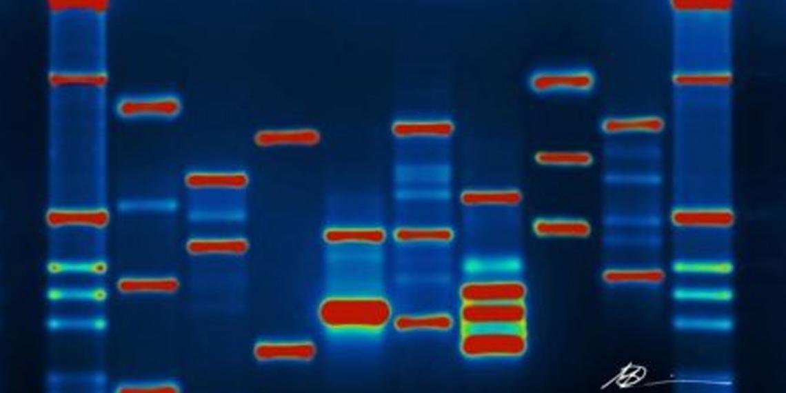 DNA image