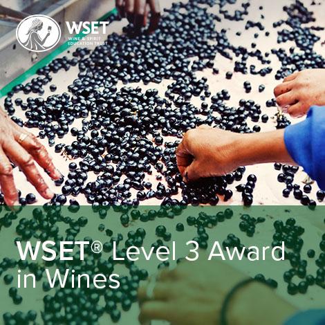 WSET Level 3 Award in Wines logo