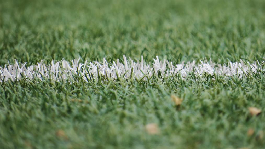 Photo of grass with a line spray painted on it