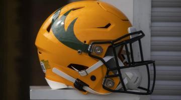 Edmonton Elks helmet