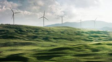 wind farm