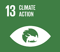 sdg 13