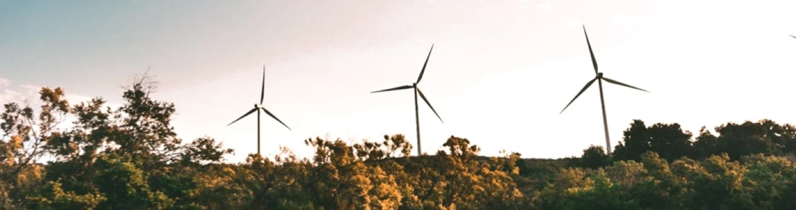 photo of windmills
