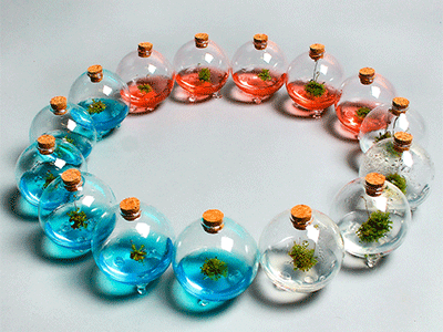 living glass jars in a circle 