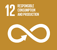 sdg 12