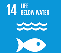 sdg 14