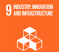 sdg 9