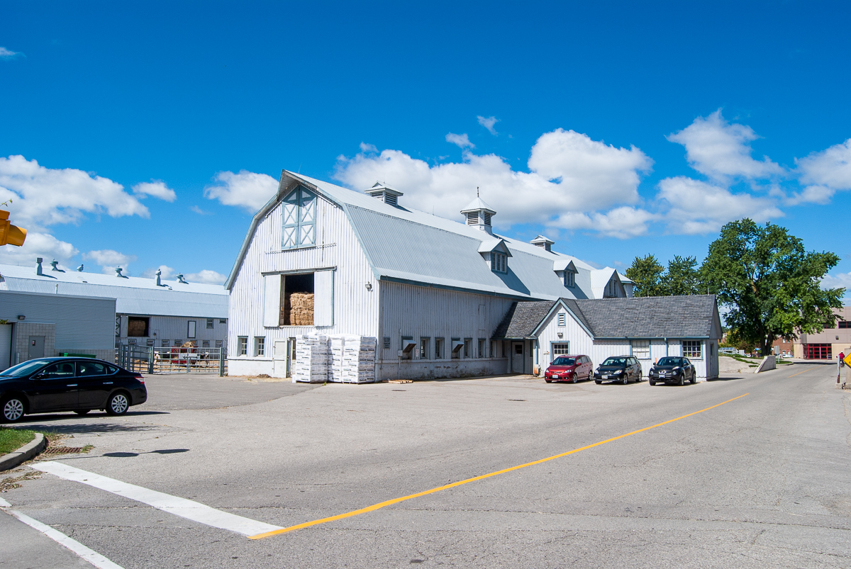 Picture of Dairy Barn