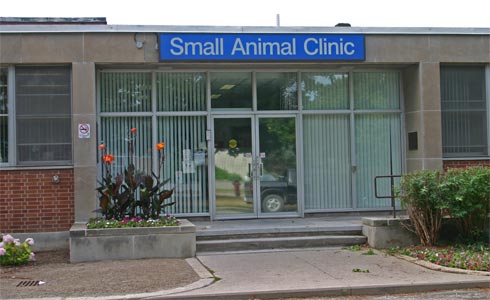 Picture of OVC James Archibald Small Animal Clinic