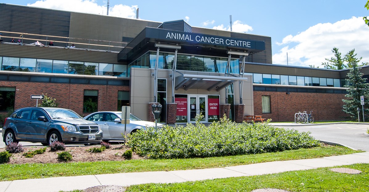 Picture of OVC Mona Campbell Centre for Animal Cancer