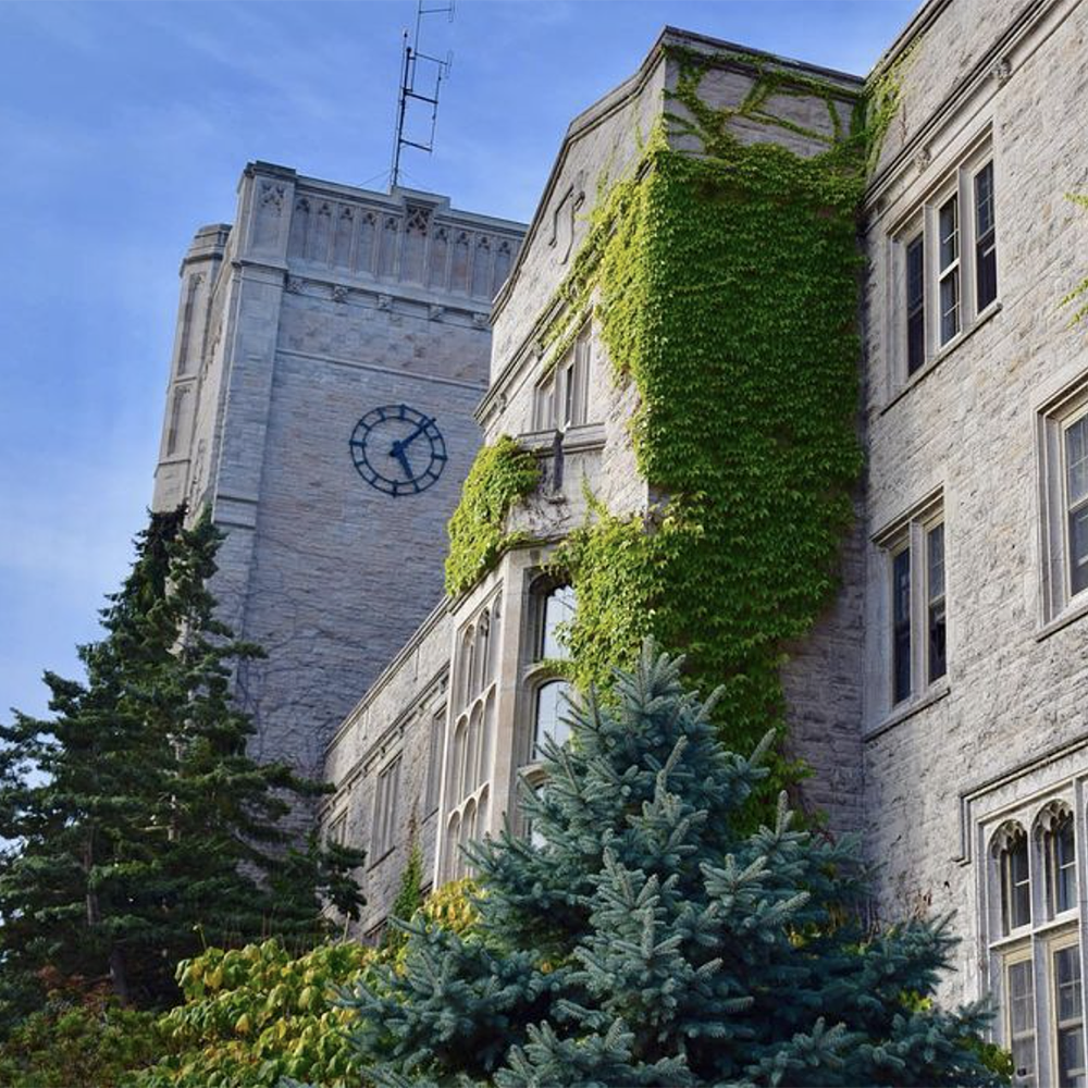 Johnston Hall foliage on walls