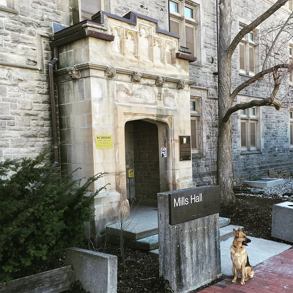 Dog in front of Mills Hall