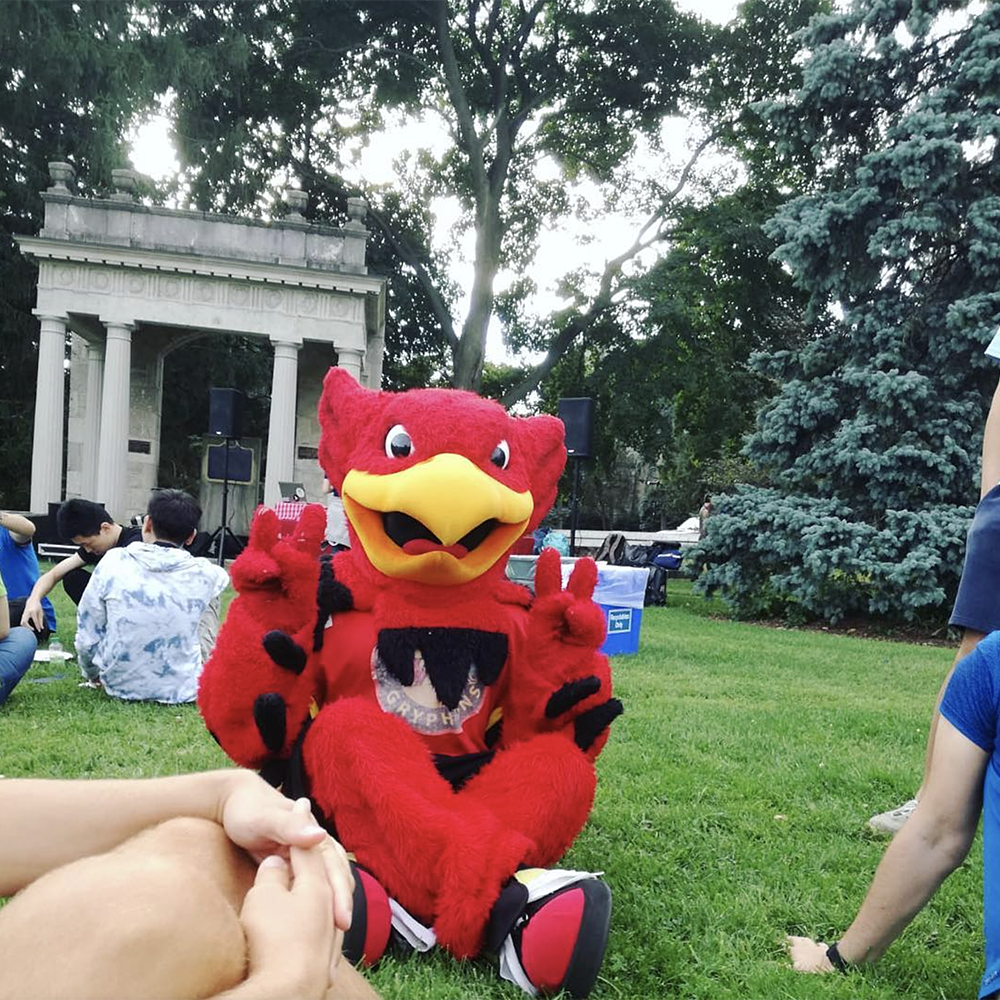 Gryph sitting on the grass in front of The Portico