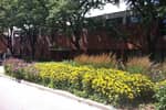 Picture of Landscape Architecture