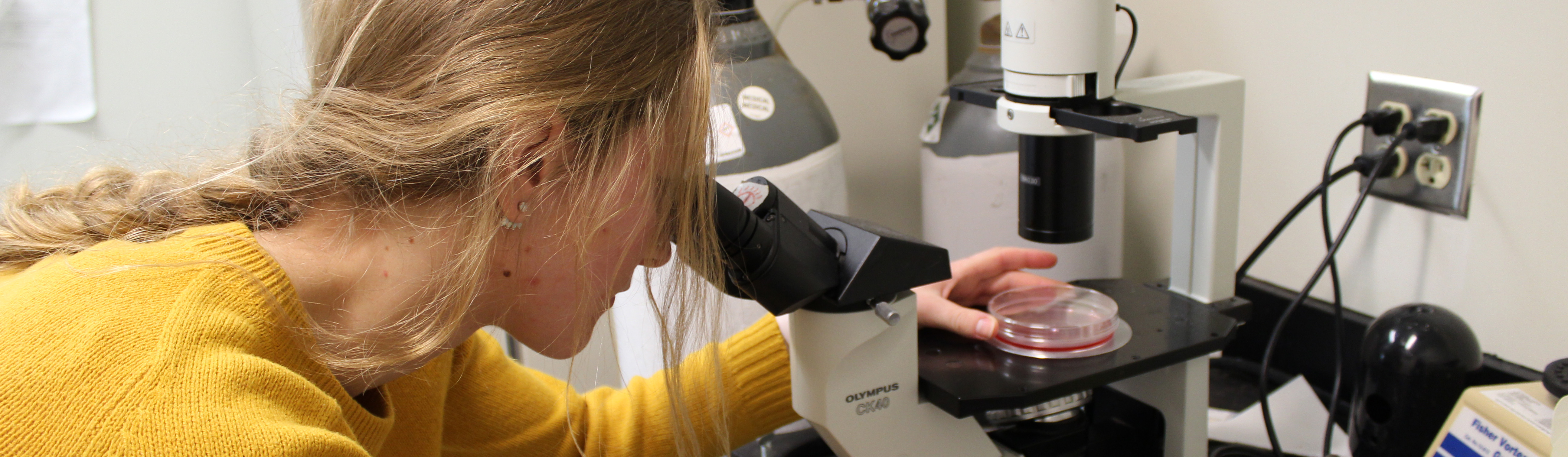 Woman working in lab