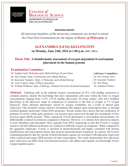 Description of Alexandria (Lexi) Kellington's Thesis UoG