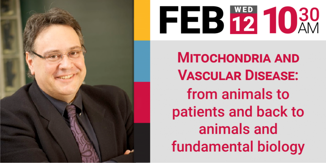 Dr. Michelakis - Mitochondria and Vascular Disease: from animals to patients and back to animals and fundamental biology, Feb 12th, 10:30 AM (2020)