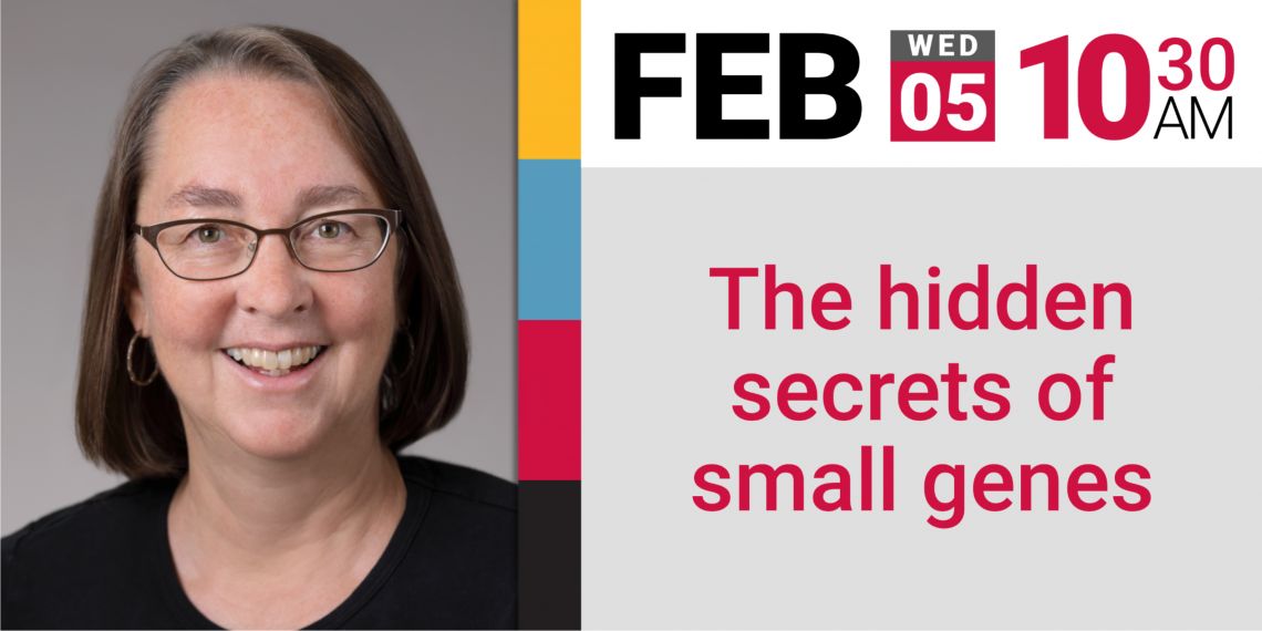 Dr. Storz - The hidden secretes of small genes, Feb 5th, 10:30 AM (2020)