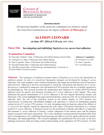 Description of Allison Leonard's Thesis UoG