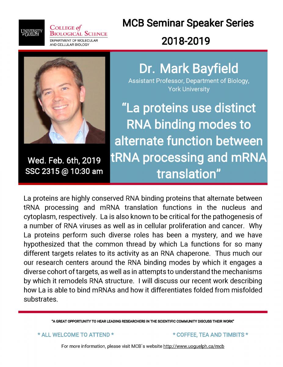 Dr. Mark Bayfield