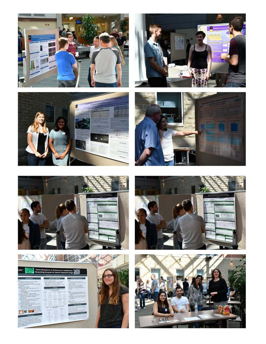 2017 CBS Undergraduate Poster Day