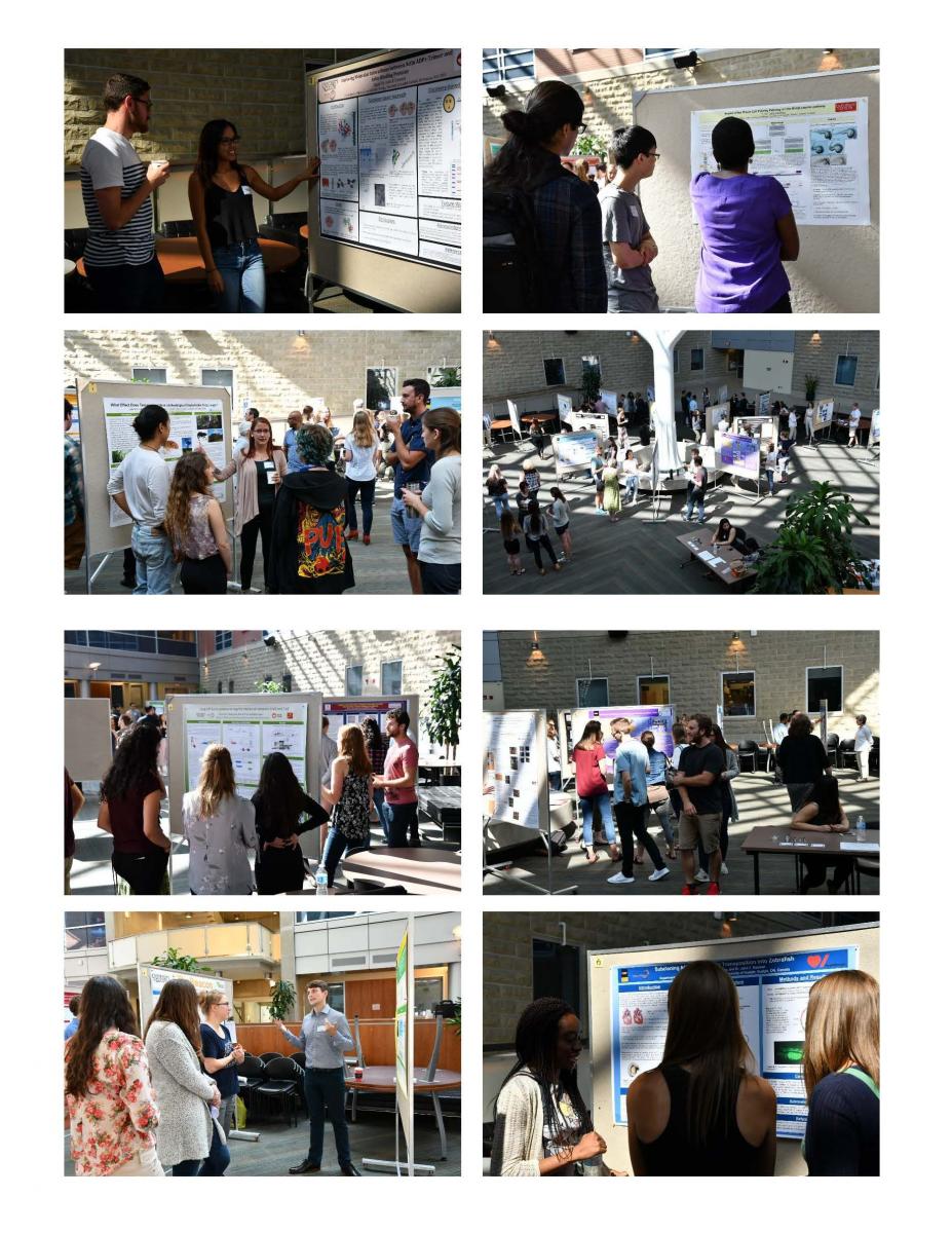 2017 CBS Undergraduate Poster Day