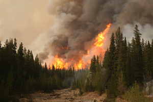 Boreal wildfire