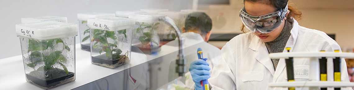 Plants in test tubes overlay an image of a student working in a lab.