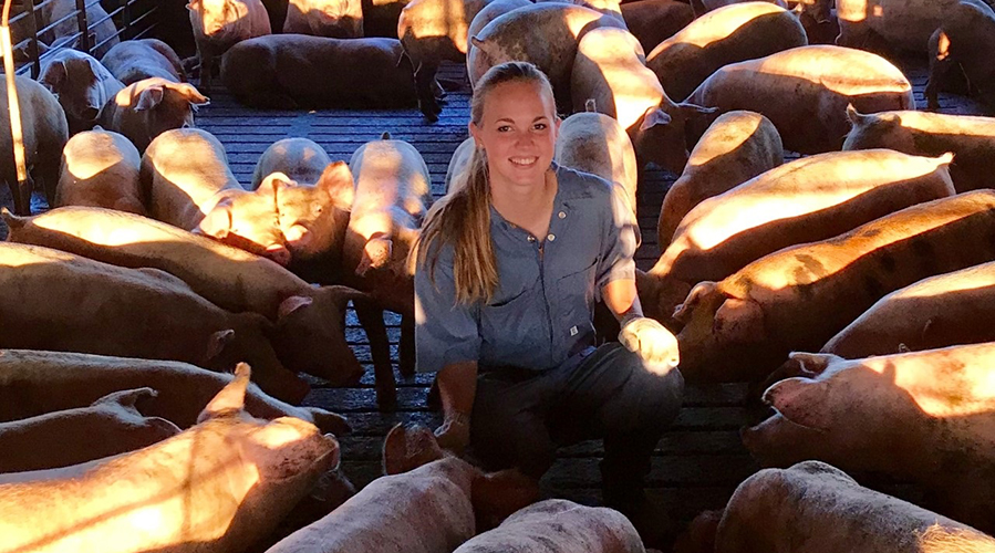 Elaine with a group of pigs.