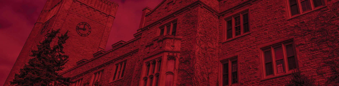 Close crop of Johnston Hall stone work with red overlay over entire image