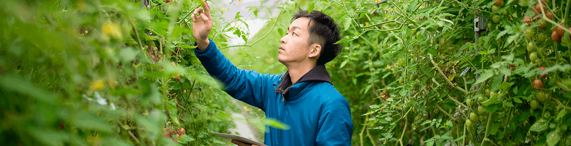 a student inspecting a plant in a greenhouse
