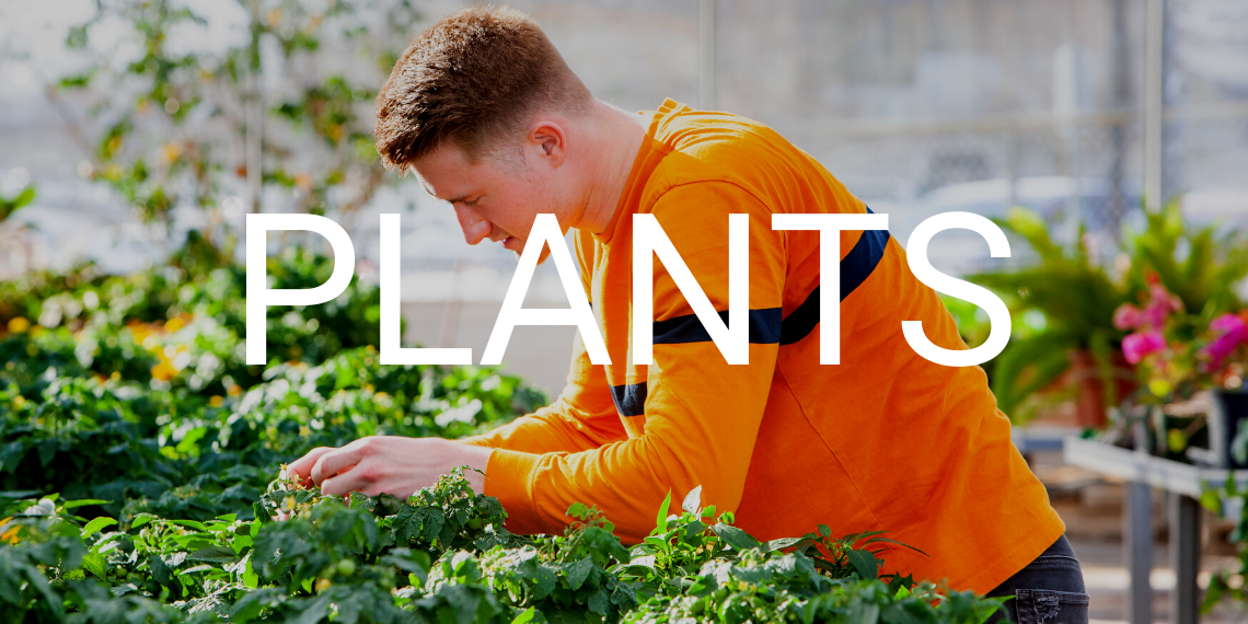student observing plants in a greenhouse with the word "plants" overlayed