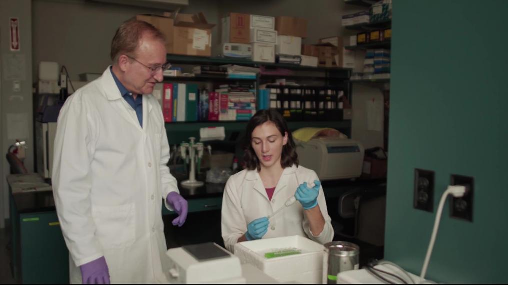 Two researchers in lab coats put samples in test tubes