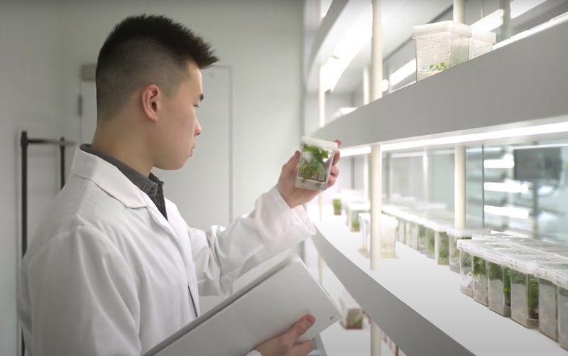 Male student in lab coat looks at plant specimen 