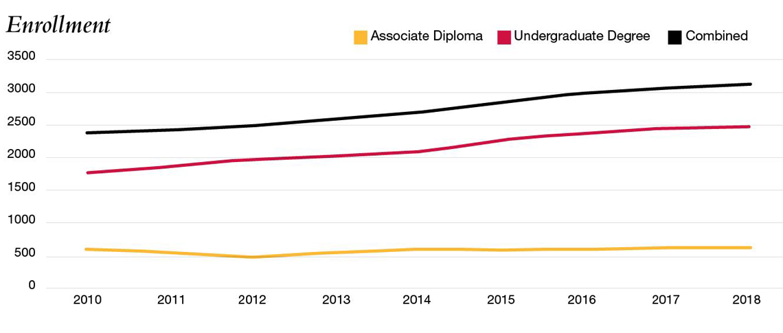 Enrollment graph showing steady increase of students in undergraduate, graduate and diploma programs