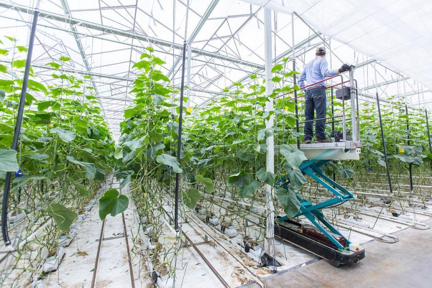 vertical farm with a person on an elevator