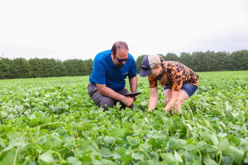 Mohsen and a student inspecting a bean plant